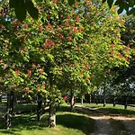 Du Haras De La Vallee De Reux