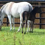 Du Haras De La Vallee De Hotell *