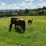 Du Haras De La Vallee De