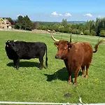 Du Haras De La Vallee De Hotell *