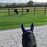 Du Haras De La Vallee De *