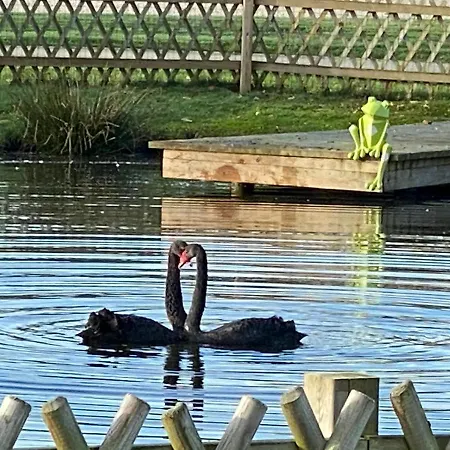 Du Haras De La Vallee De Reux