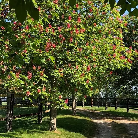 Du Haras De La Vallee De Reux