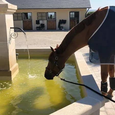 펜션 Gite Du Haras De La Vallee De