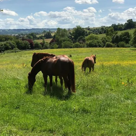 Du Haras De La Vallee De