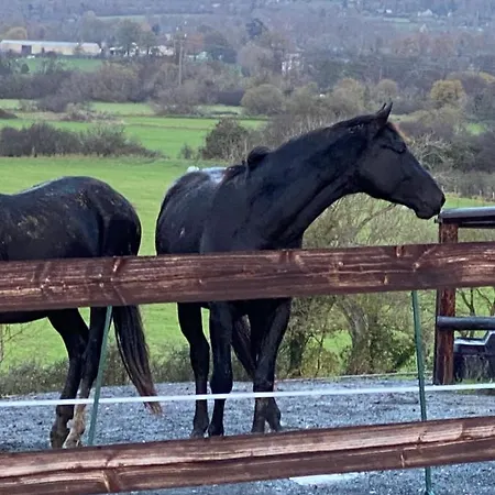 펜션 Gite Du Haras De La Vallee De *