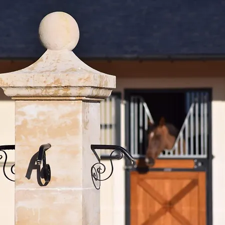 Du Haras De La Vallee De * Reux