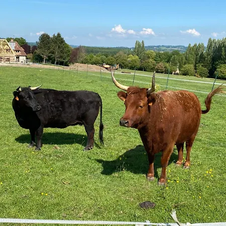 Du Haras De La Vallee De ホテル *