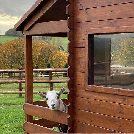 Du Haras De La Vallee De ホテル Reux