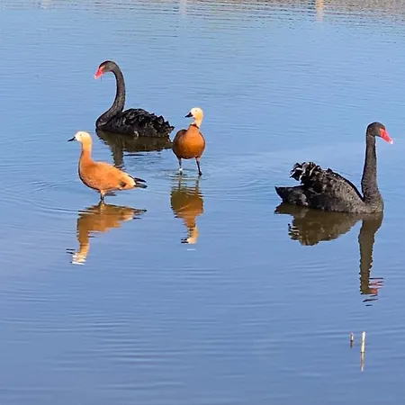 ホテル Du Haras De La Vallee De *