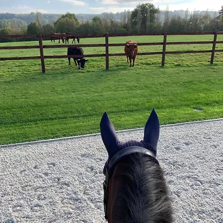 Du Haras De La Vallee De *