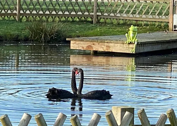 Du Haras De La Vallee De Reux