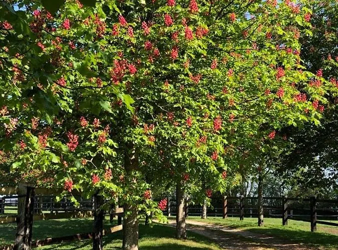 Du Haras De La Vallee De Reux