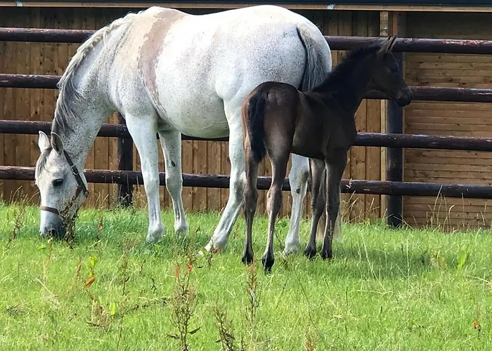 Du Haras De La Vallee De ホテル *