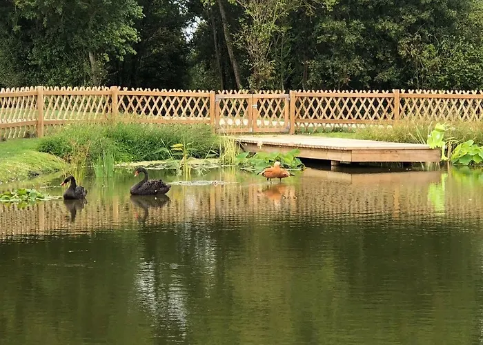 Du Haras De La Vallee De *