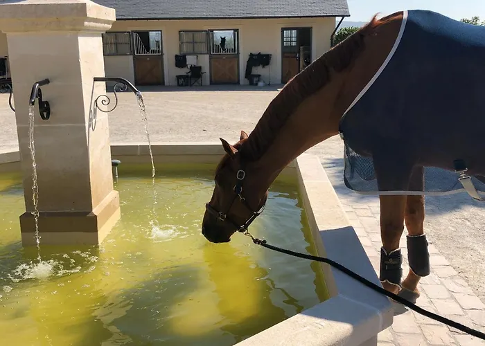 ホテル Du Haras De La Vallee De