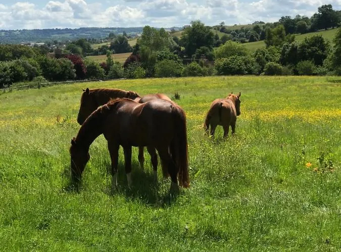Du Haras De La Vallee De