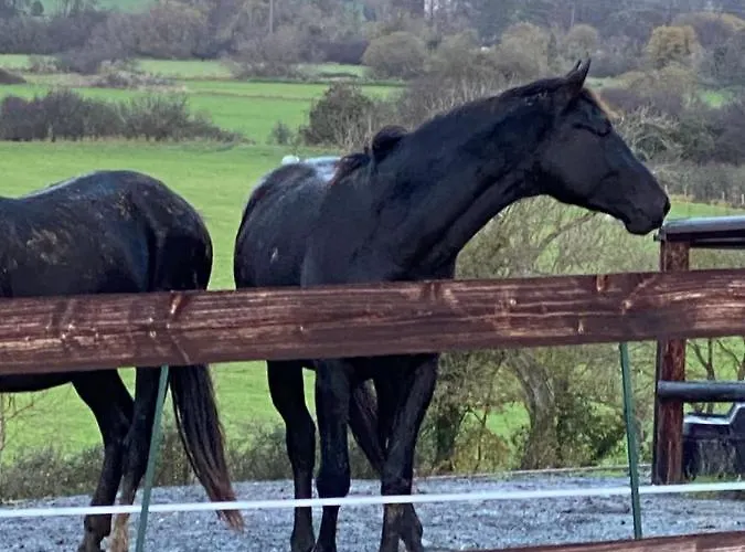 ホテル Du Haras De La Vallee De *