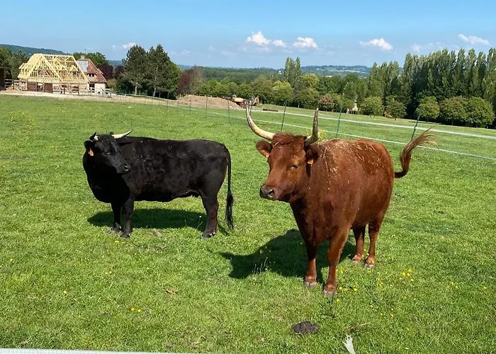 Du Haras De La Vallee De ホテル *