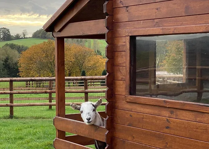 Du Haras De La Vallee De ホテル Reux