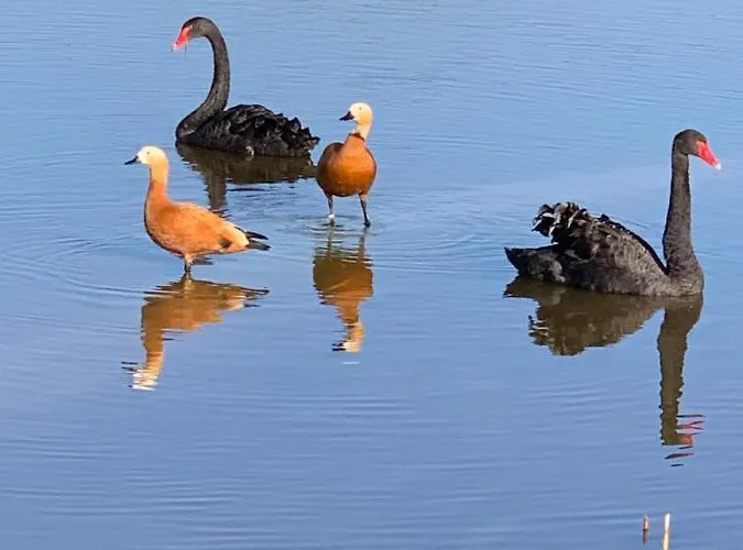ホテル Du Haras De La Vallee De *