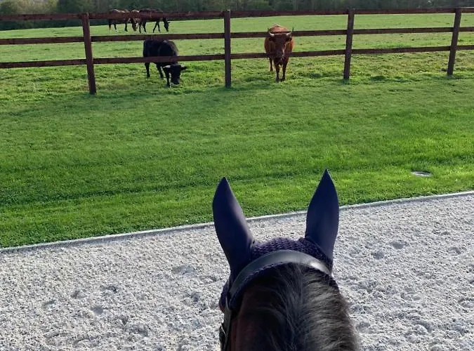 Du Haras De La Vallee De *